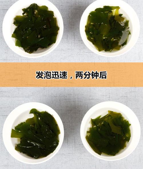 大連特產(chǎn)天然裙帶菜干貨特級螺旋藻免洗海藻海木耳海白菜500g包郵