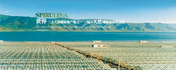 螺旋藻營(yíng)養(yǎng)醫(yī)學(xué)論壇 產(chǎn)學(xué)研融合開(kāi)啟產(chǎn)業(yè)進(jìn)階之路