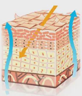 全新升級6 | 洗臉不對，保養報廢 洗面奶中的佼佼者，與金屬清洗劑的跨界啟示